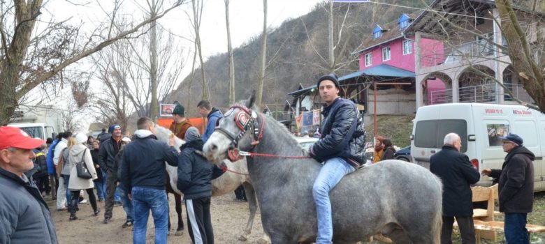 petkazanje bora otic mosorin