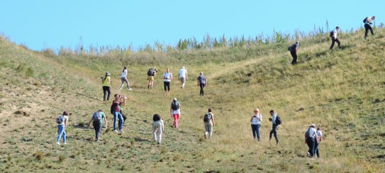 balkan botanical congress titelski breg