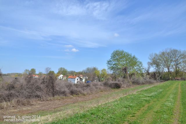 pesacimo u prirodi Jegricka 2014