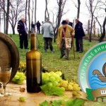Саветовање на тему Унапређење воћарства и виноградарства у општини Тител