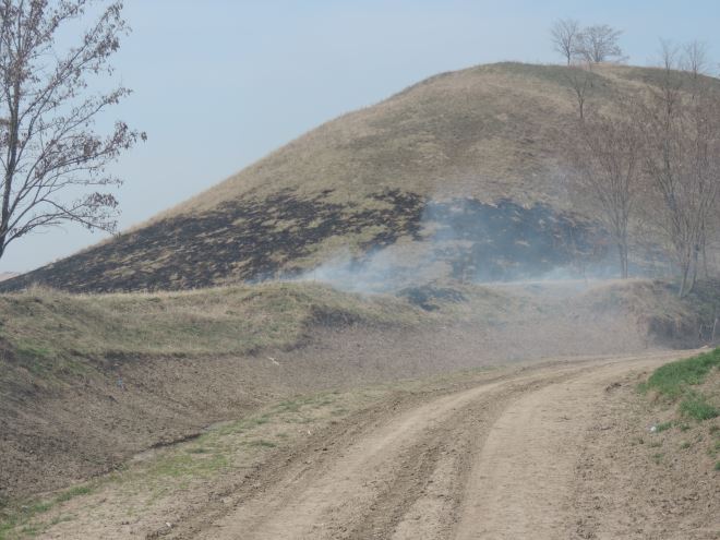 titelski breg pozar lok vilovo