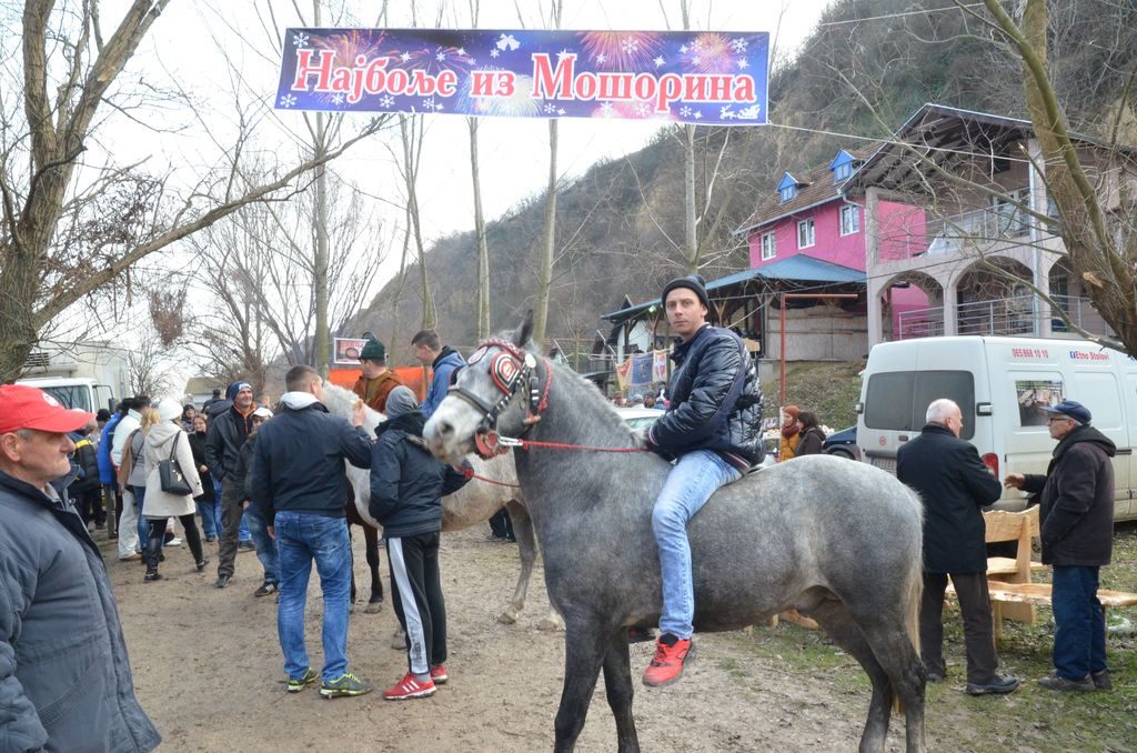 petkazanje bora otic mosorin