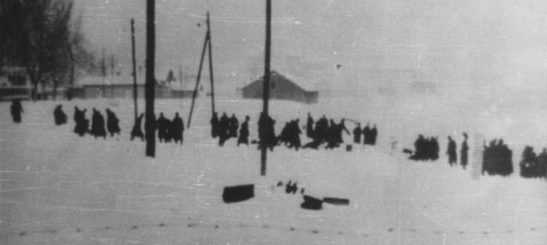 racija 1942 titel sajkaska