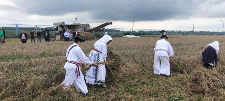 zetveni sajam zupanja 2018