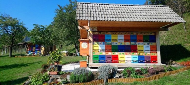 putevima sira i meda slovenija