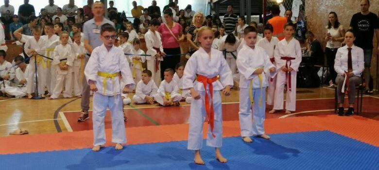 titelski pobednik 2019 karate klub titel
