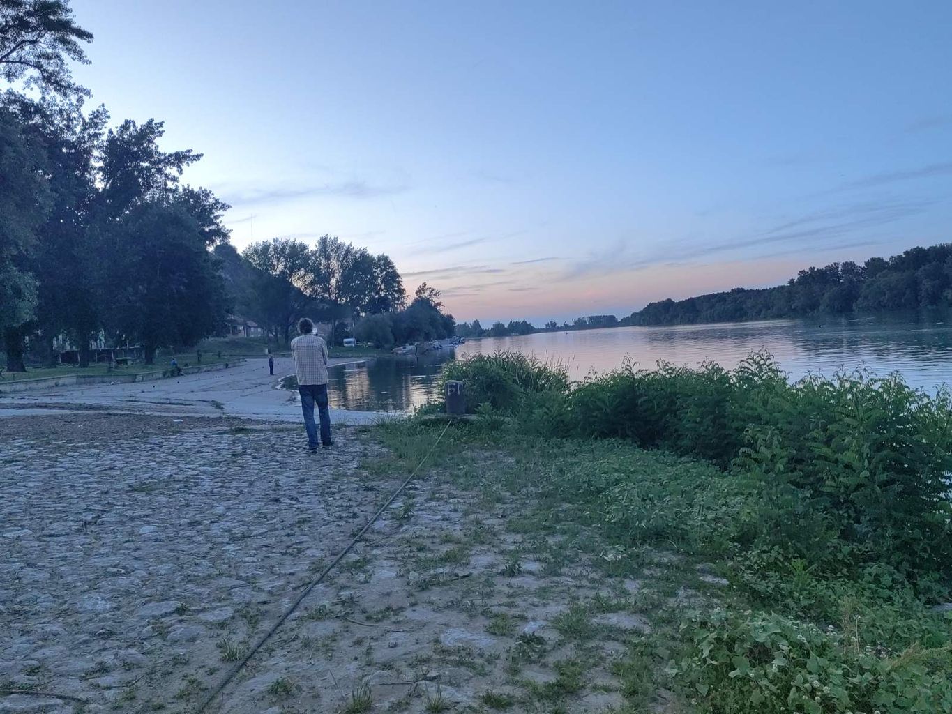 Tiski-cvet-Cvetanje-Tise-Titel